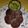 Christin'S Kitchen 's cooksnap of when they made Instant ragi idli.
