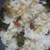 Cooksnap dari Haifa Afifah untuk resep Nasi Liwet Ricecooker