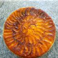 کوک اسنپ shadi.ashoori بعد از امتحان کردن کیک هلو برگردان کاراملی (Upside down peach cake).