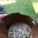 Cooksnap dari Ade Paraniti untuk resep Bubur kacang ijo