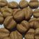 Cooksnap dari toskapoesje untuk resep Coffee Bean Cookies