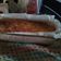 El cooksnap de Lucía Guerra cuando hizo 🥧🍊🥄Budín de mandarina by Lou.