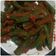 Ekta Vyas का कुकस्नैप जब उन्होंने भरवां भिंडी (Bharwan Bhindi recipe in hindi) बनाया था।