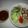 Tran Phuong Hien's cooksnap of when they made Bún mắm nêm Đà Nẵng.