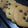 รูป Cooksnap ของ piya peipei เมื่อเขาทำ Soft Lemon Cookies