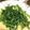 Sunnnny 的 豆腐乳炒空心菜 cooksnap