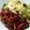 Vicky@Jacks Free-From Cookbook's cooksnap of when they made Spicy Pepper Steak.