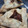El cooksnap de Isabel Jañez cuando hizo Empanadas árabes riquísimas y rápidas.