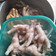 Cooksnap dari Sweet.icedtea_ untuk resep 65. Tips Mengupas Kulit Ceker Ayam