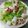 Candy Hsun 的 透抽炒芹菜 cooksnap