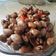 Cooksnap dari aya srikandi untuk resep Tumis Kerang Saus Tiram Pedas