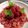 Cooksnap de Alexis Leroux sur la recette Salade des mandarines à la grenade et menthe