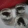 Cooksnap dari tati yulianti untuk resep Cheeseoreo cake