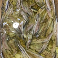 El cooksnap de luis azcona cuando hizo Boquerones en vinagre.