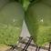 Cooksnap dari Veronica michele Budiman untuk resep Puding lumut simple & ekonomis