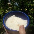 El cooksnap de KARI CELSER cuando hizo Helado de limón.