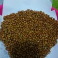 Cooksnap dari Irin Dinania untuk resep Kacang kedelai goreng renyah