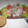 El cooksnap de roxanasalazar7967 cuando hizo Ceviche peruano .
