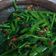 Cooksnap dari Ria untuk resep Rujak kangkung cirebon
