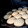 El cooksnap de Licenciada Laura Fretes Kinesiologa Fisioterapeuta cuando hizo Alfajores de maizena.