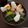 eacaldw's cooksnap of when they made Ozouni with Lots of Dashi.