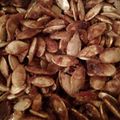 peac3frogg's cooksnap of when they made Sweet & salty pumpkin seeds.