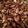 peac3frogg's cooksnap of when they made Sweet & salty pumpkin seeds.