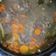 Cooksnap dari Irma untuk resep Sup Iga ala Resto