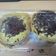 Cooksnap dari Lina Sulistiyowati untuk resep Terang Bulan Mini / Martabak Manis Mini