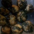 Cooksnap dari Ika untuk resep Rolade Tahu Daun Singkong