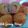 Cooksnap dari Atik (Pawoen Ibuk) untuk resep Cilok Goreng Crispy