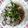 潘俊霖的(簡單料理) 的 塔香文蛤 cooksnap