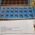 Wendy Mae's cooksnap of when they made Keto fat bombs.