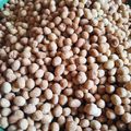 Cooksnap dari Lusi Ang untuk resep Kacang Telor Renyah