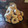 El cooksnap de Laura Mijana cuando hizo Rosquitas facilísimas.