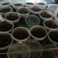 Cooksnap dari Sri Widayati untuk resep Puding maizena