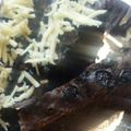 Cooksnap dari Sicilia untuk resep Brownies Kukus Ny Liem