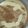 El cooksnap de María del Pilar Suarez cuando hizo Arroz con leche casero.