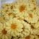 Cooksnap dari mia untuk resep Kue semprit Mawar