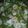 El cooksnap de adrianaaa8 cuando hizo Camarones con nopales.