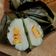 Cooksnap dari dapurguna untuk resep Nagasari