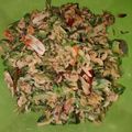 Cooksnap dari widya untuk resep Tumis pare teri + tips agar pare tidak pahit