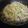 El cooksnap de Matias Iñiguez Arroyo cuando hizo Tagliatelle con gorgonzola, peras y nueces.