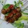 Cooksnap dari Dede Riana untuk resep Sate Baso Tempe Saus Takoyaki