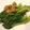 รูป Cooksnap ของ ครัวนุ้งแคท เมื่อเขาทำ ผักคอสผัดน้ำมันหอย🥬🥗