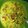 Cooksnap dari sel untuk resep 🍖🍖Soto Betawi Kuah Santan