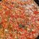 Cooksnap dari Asharina J untuk resep Sambal Rampai legenda wisata cibubur Hits