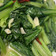 賴小孟 的 蒜炒小松菜 (油菜) / 簡單家常菜 cooksnap