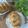 Cooksnap dari Tati Noerh untuk resep Hasselback Bread