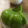 Cooksnap dari Ichadhi untuk resep Puding Lumut Pandan